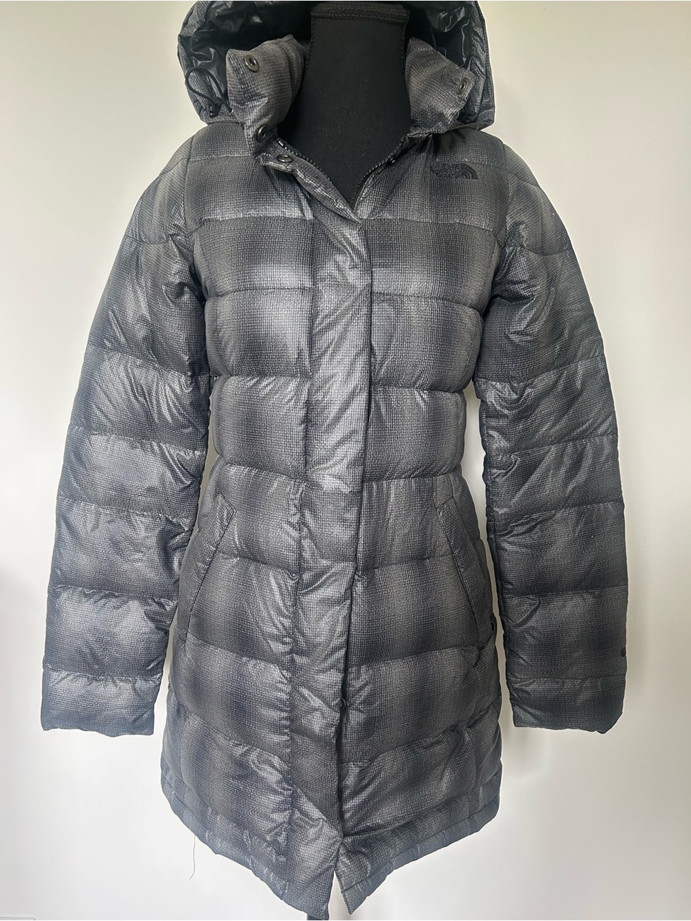 The North Face Winter Jacket